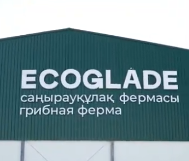 Монтаж вывески ECOGLADE